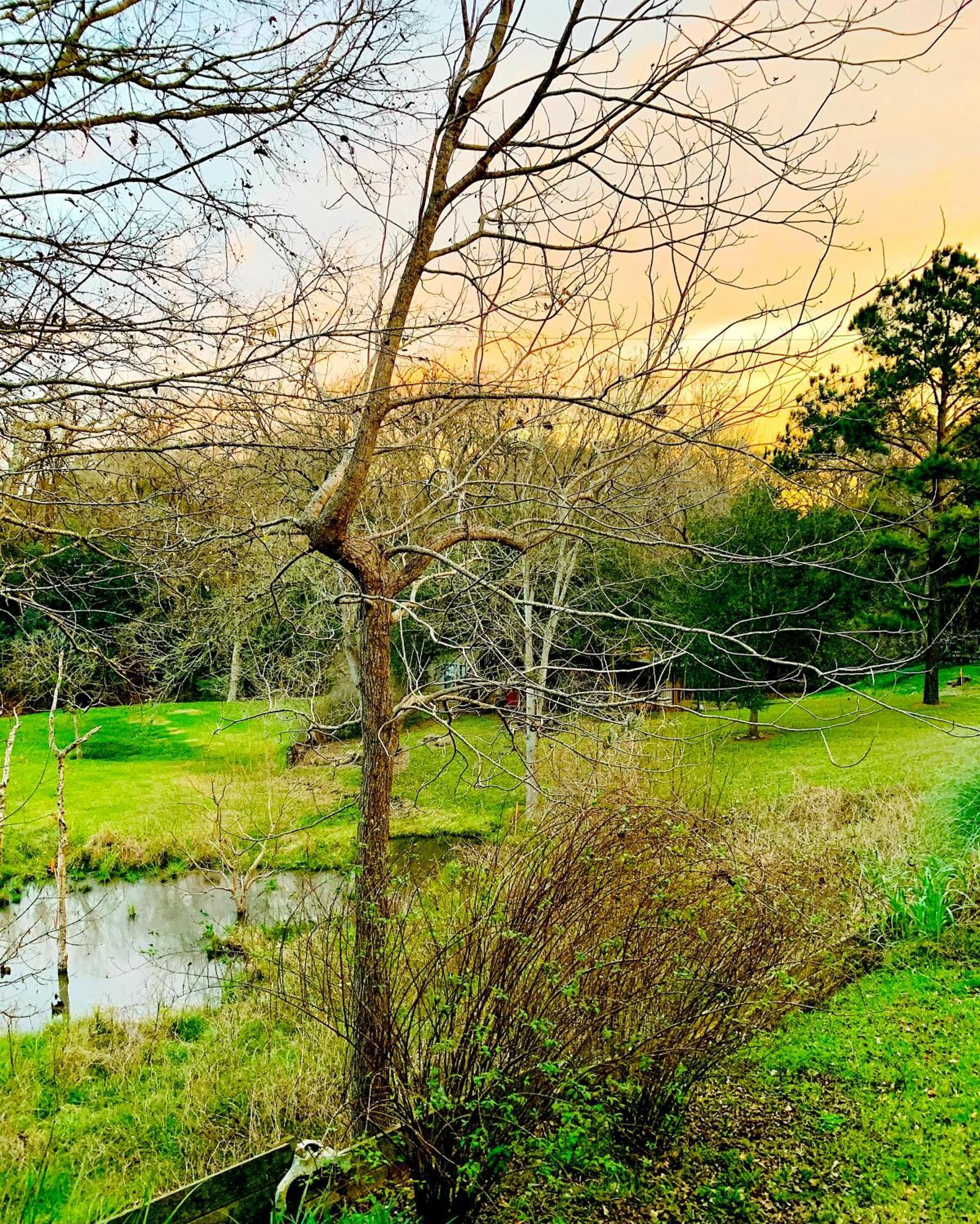 Circa 1900 - Historic - Romantic - Private - Pond - Fenced Yard - The Cottage At Chappell Hill Zewnętrze zdjęcie